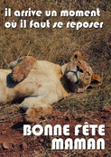 Belles siestes pour une maman zen
